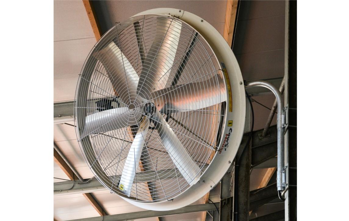 Breeze Fan