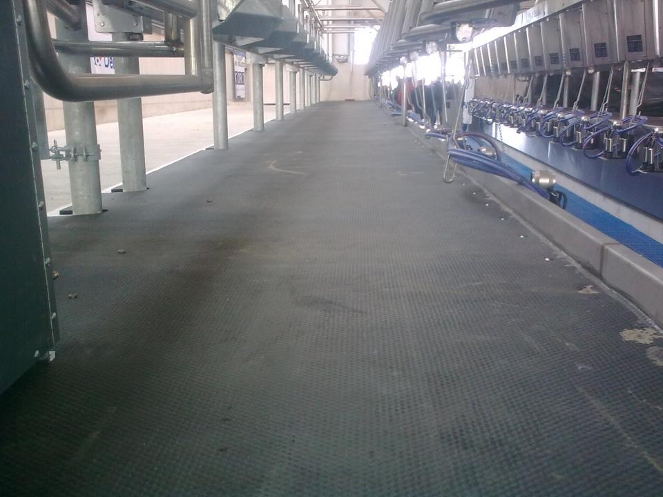 Dairy floor