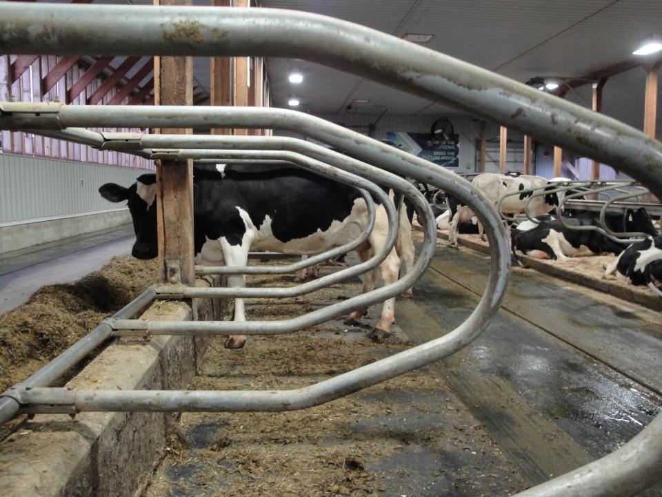 Feedstall in de praktijk