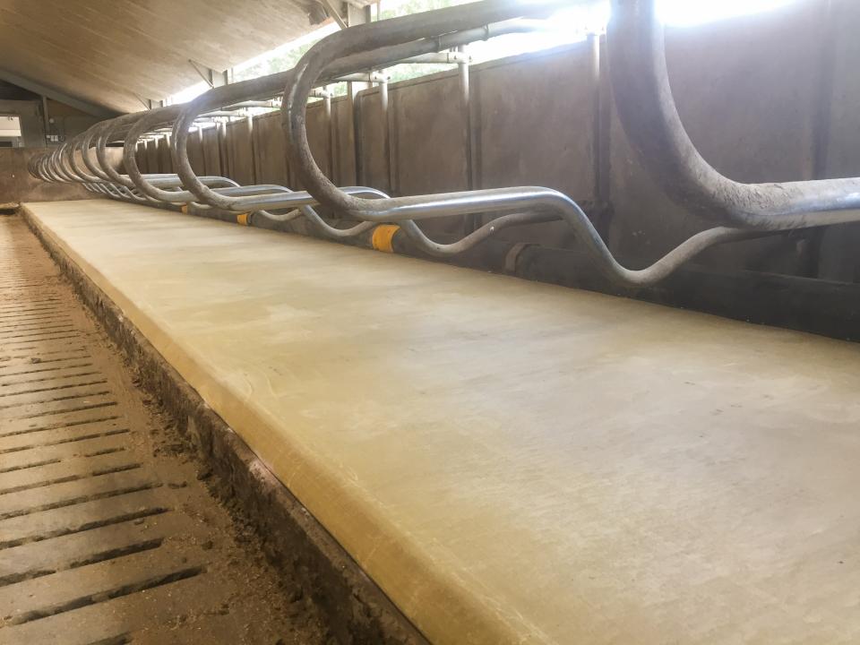 Friesian Island in bestaande stal