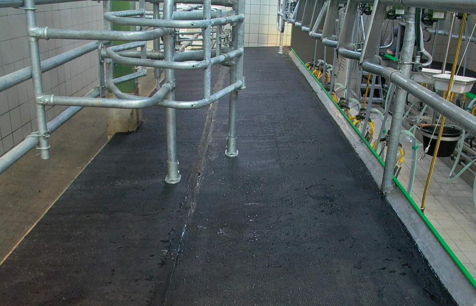 Dairy floor