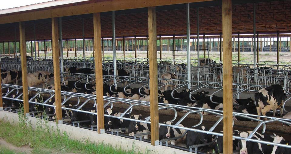 No Thru ligbox in praktijk