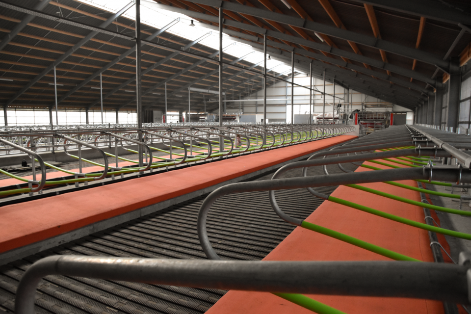 Cowcoon in nieuwbouwstal