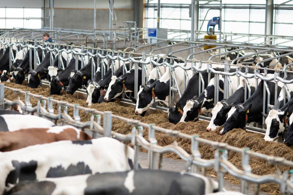 Hettinga golfvoerhek