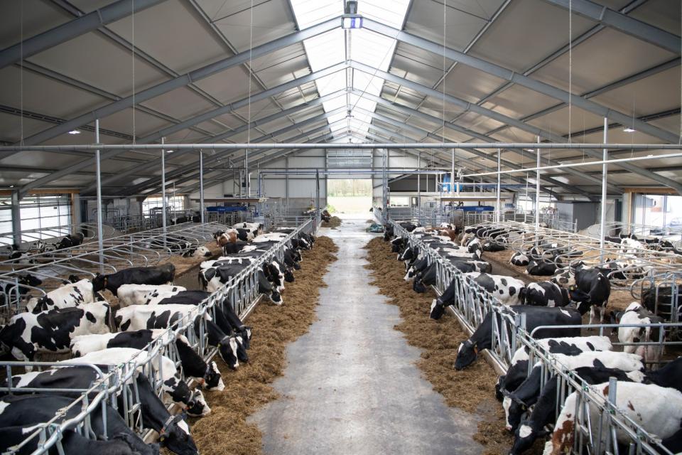 Hettinga overzicht stal