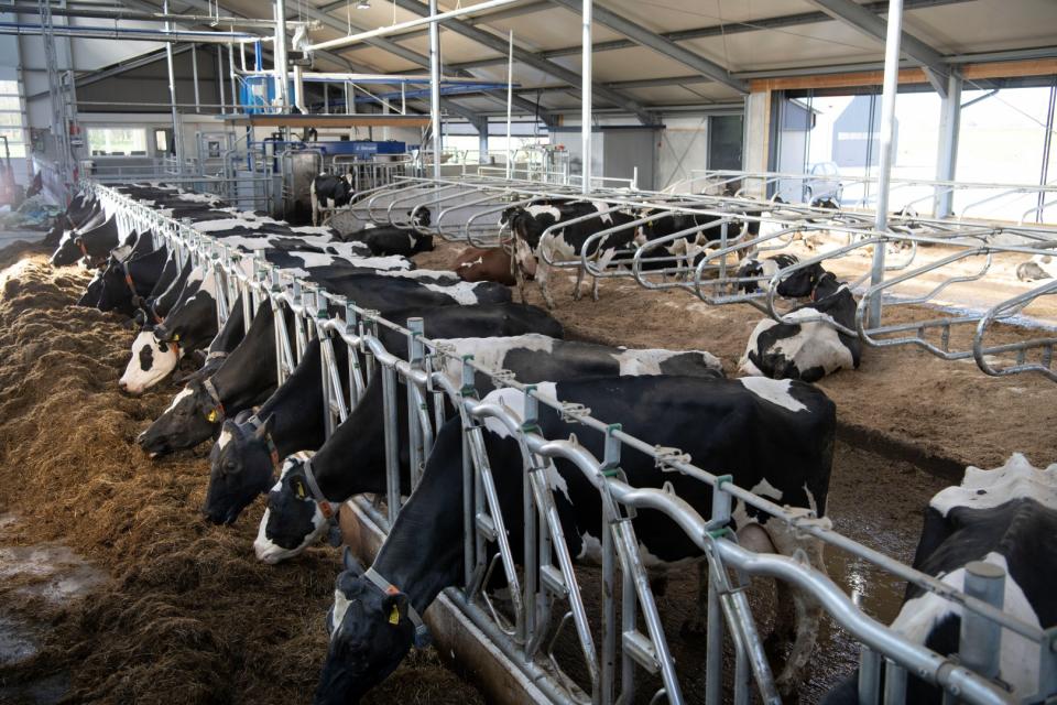 Golfvoerhek nieuwe stal