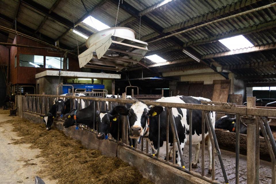 Melkveebedrijf Sibma