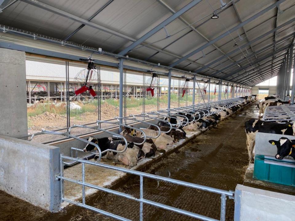 Nieuwe stal Oekraïne