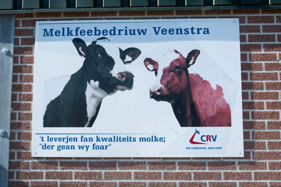 Melkfeebedriuw Veenstra