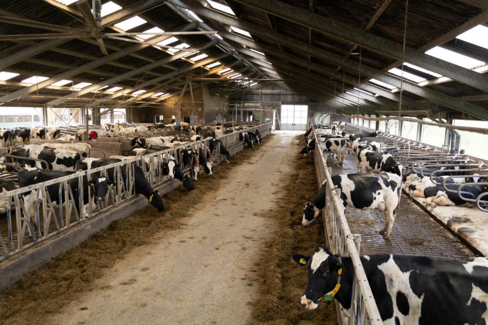 Stal Familie Eggengoor