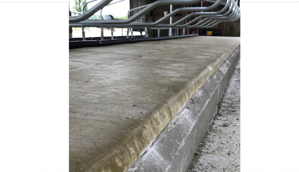 EARL Moreau - Friesian Island