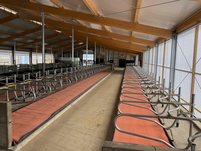 Dutch Mountain Familie Mai