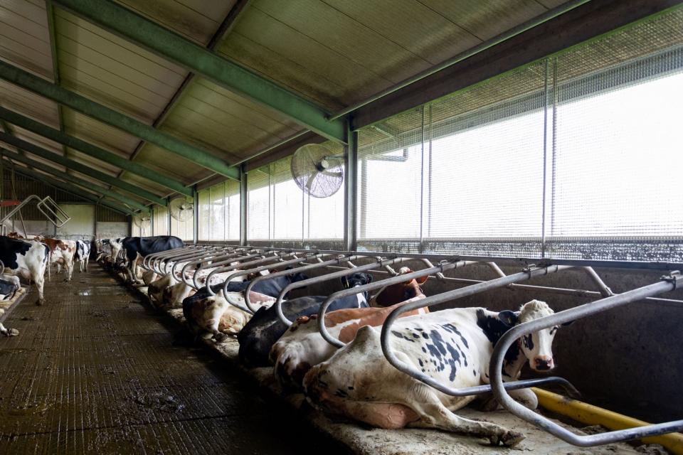 Ids en Hessel de Groot, Waaxens