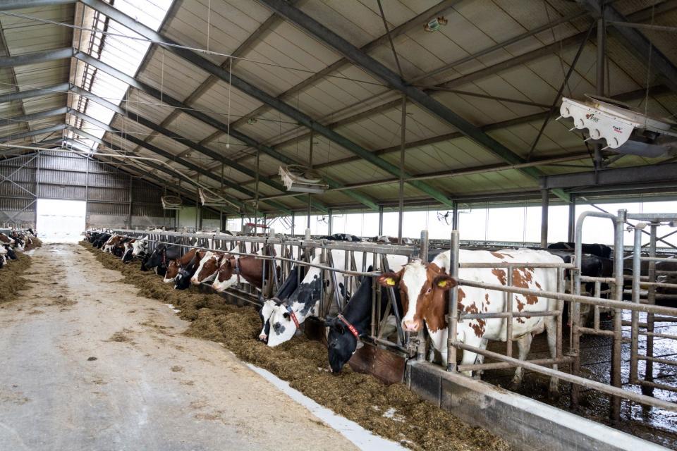 Ids en Hessel de Groot, Waaxens