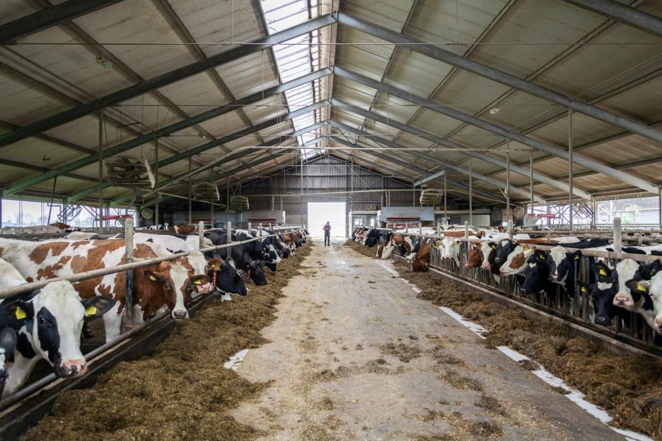 Ids en Hessel de Groot, Waaxens