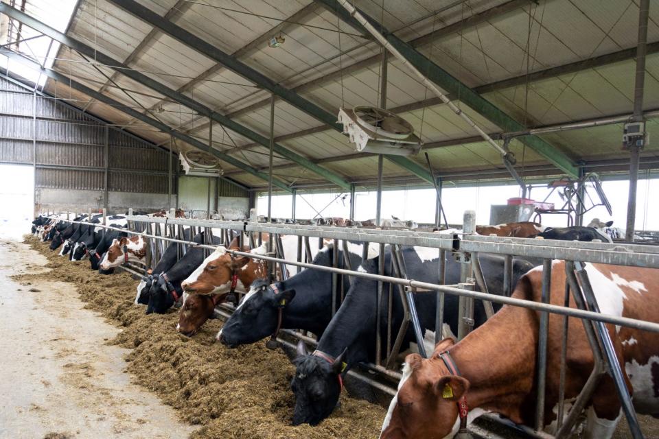 Ids en Hessel de Groot, Waaxens