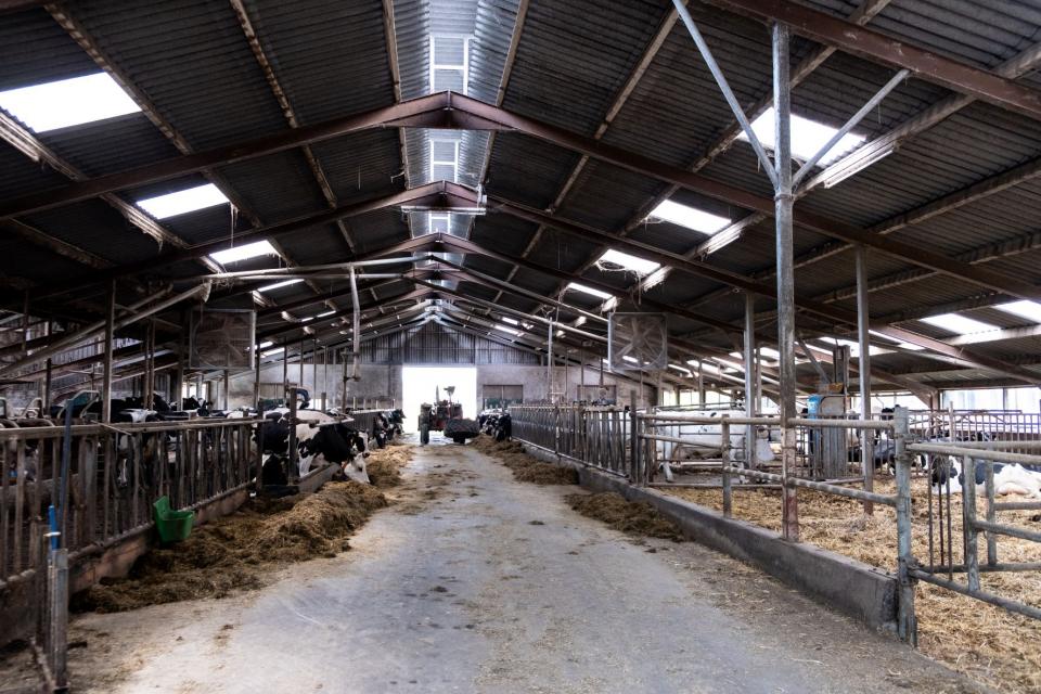 Oude stal Tankink