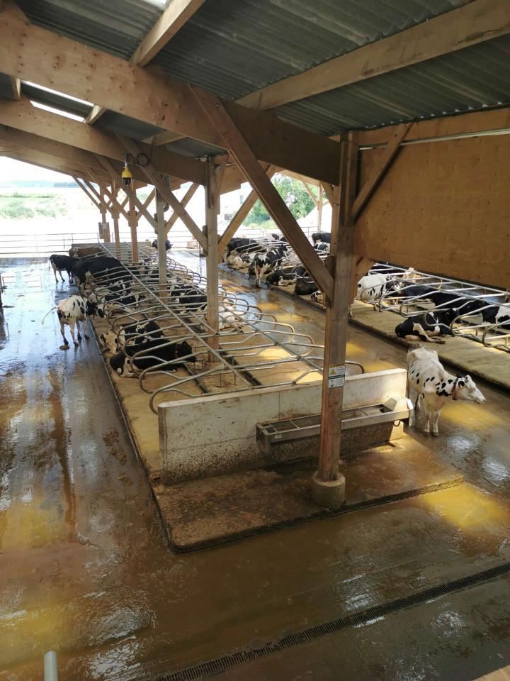 Gaec de la Rue Neuve