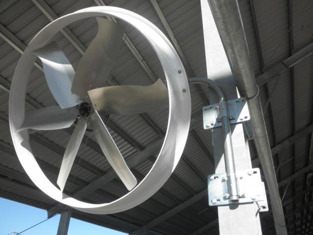 Breeze Fan