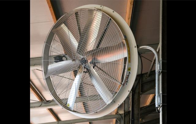 Breeze Fan