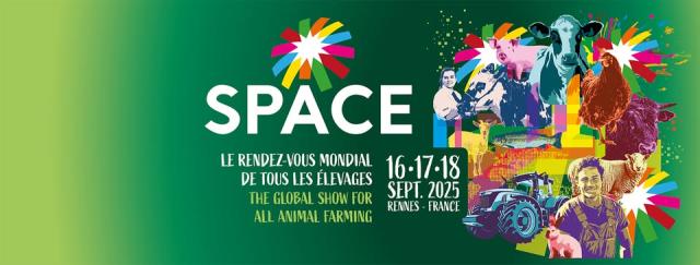 Space 2025